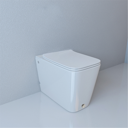 Унитаз приставной с функцией импульсного смыва Cerutti SPA Disgrazia CT7269 с сиденьем фото