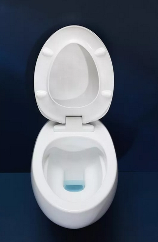 Унитаз подвесной Laufen Alessi One 8.2097.1.400.000.1 rimfree фото