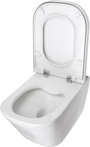 Безободковый подвесной унитаз Roca Gap Clean Rim 34647L000 фото