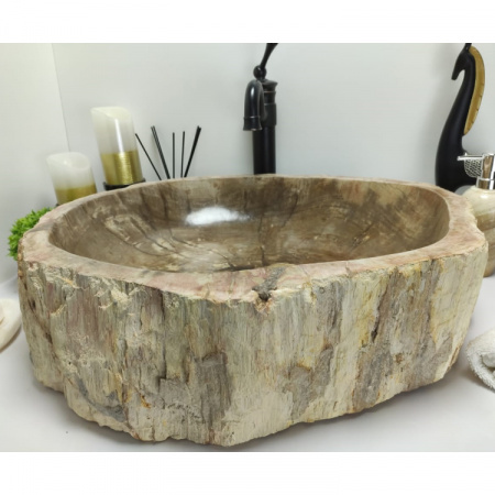 Раковина из окаменелого дерева Indo Fossil Basin OD-00401 фото