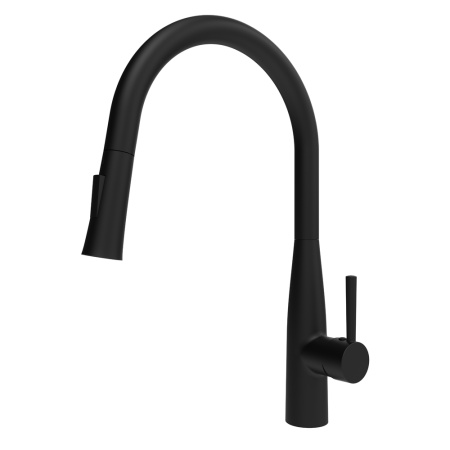 Смеситель для кухни Raiber Premium Graceful RPB-011 черный матовый фото