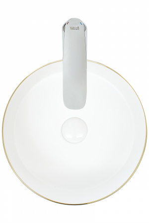 Накладная раковина WeltWassaer Elbach ELBACH 3134 LSGW фото