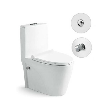 Унитаз напольный с функцией биде SantiLine SL-5012SM-BD фото
