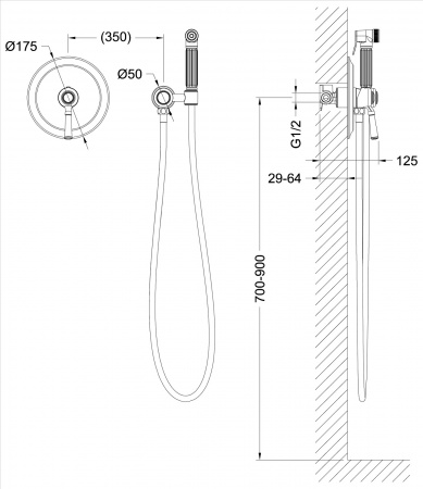 Гигиенический душ со смесителем Timo Arisa 5309/02SM фото