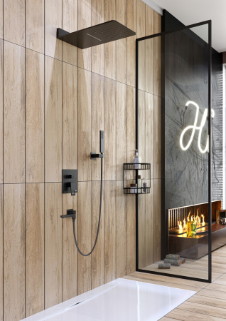 Душевая система скрытого монтажа Timo Briana SX-7119/03SM фото