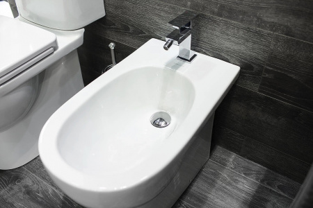 Биде напольное Sanita luxe ART/BEST/FEST ARTSLBI01 фото