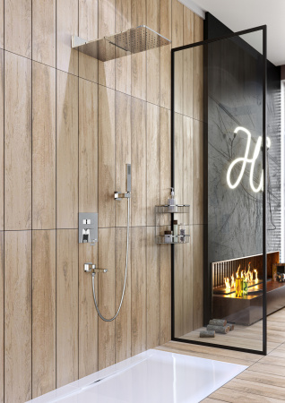 Душевая система скрытого монтажа Timo Briana SX-7119/00SM фото