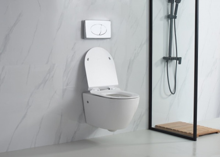 Унитаз подвесной Esbano Fortex ESUPFORTW фото