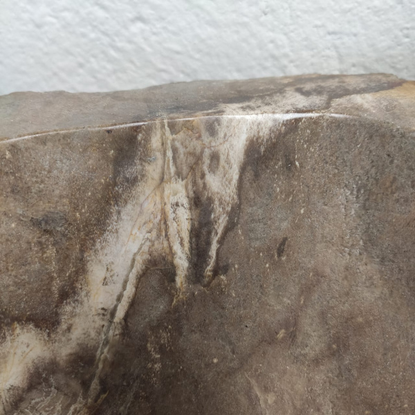 Накладная раковина из окаменелого дерева Fossil Basin OD-01369 (55*44*15) фото