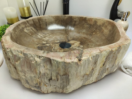 Раковина из окаменелого дерева Indo Fossil Basin OD-00401 фото