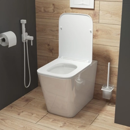 Приставной унитаз безободковый Iddis Bild BILRDSEi26 фото