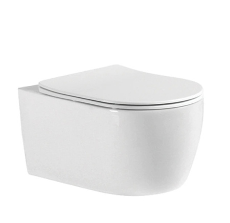 Унитаз подвесной Aquatek Европа AQ1106-00 с сиденьем фото