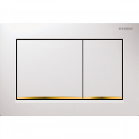 Смывная клавиша Geberit Omega 30 115.080.KK.1 белая/золото фото