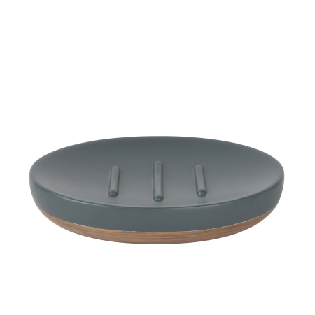 Мыльница настольная WasserKRAFT Lopau K-3329 фото