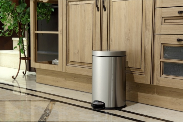 Мусорное ведро для ванной с педалью WeltWasser WW ERFIE MT 30L матовая сталь фото