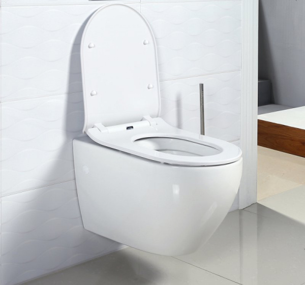 Сиденье для унитаза BelBagno Sfera-R BB209SC soft close фото