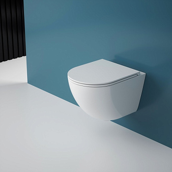 Подвесной унитаз безободковый Esbano GARDENA-49T с сиденьем фото