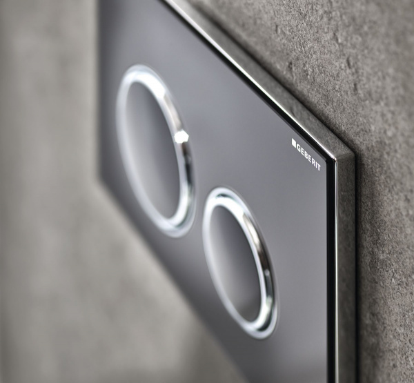 Смывная клавиша Geberit Sigma 21 115.884.SJ.1 фото