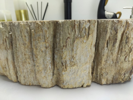 Раковина из окаменелого дерева Indo Fossil Basin OD-00403 фото