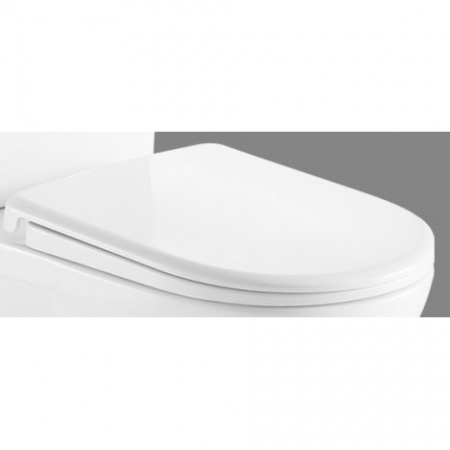 Сиденье для унитаза BelBagno Ricco BB275SC soft close фото