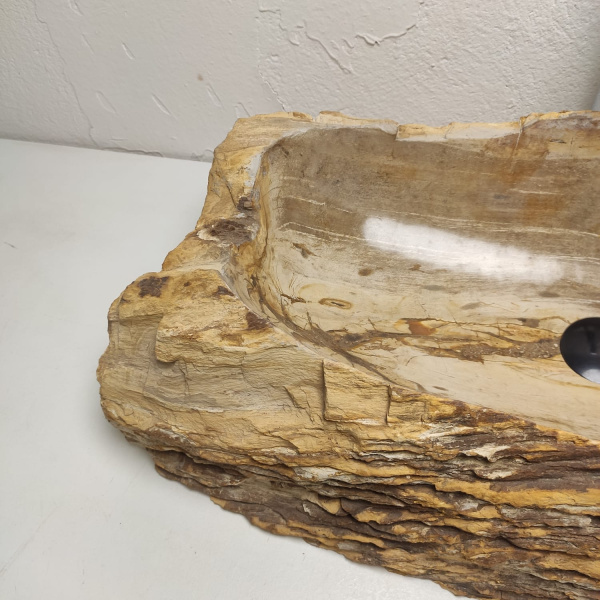 Накладная раковина из окаменелого дерева Fossil Basin OD-01342 (80*41*18) фото