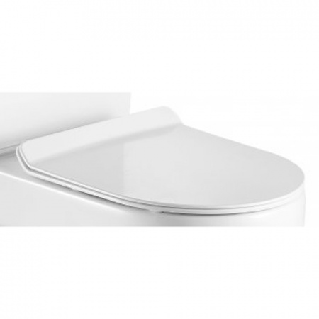 Сиденье для унитаза BelBagno Norma BB865SC soft close фото