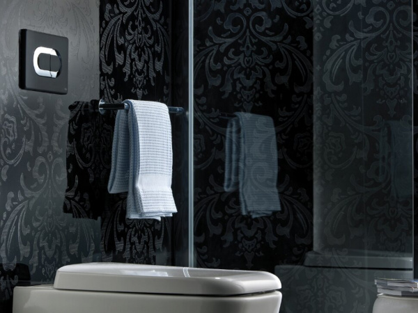 Клавиша смыва Oli Salina 640097 черная/хром глянцевый фото