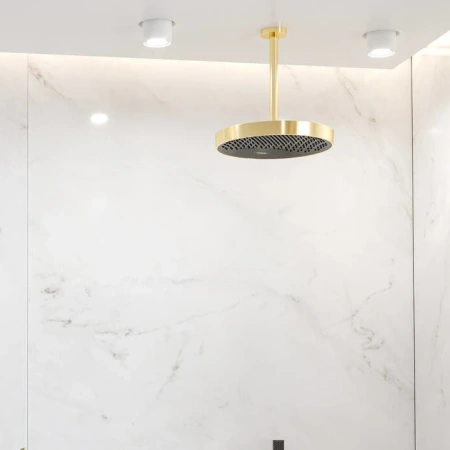 Верхний тропический душ Hansgrohe Rainfinity 360 1jet 26231990 полированное золото фото