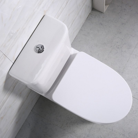 Унитаз напольный с бачком BelBagno Steam BB130CPR фото