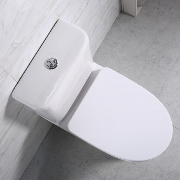 Унитаз напольный с бачком BelBagno Steam BB130CPR фото