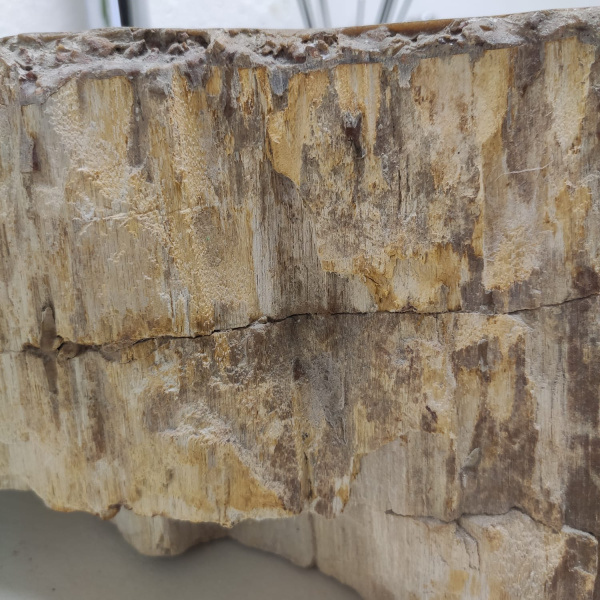 Накладная раковина из окаменелого дерева Fossil Basin OD-01338 (58*51*15) фото