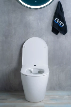 Унитаз приставной Gid TRS-269 фото