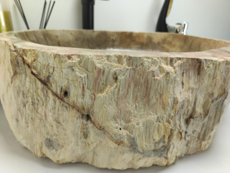 Раковина из окаменелого дерева Indo Fossil Basin OD-00401 фото