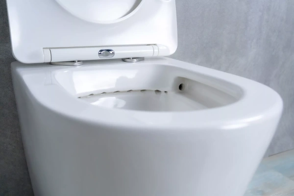 Унитаз приставной Gid TRS-263 фото