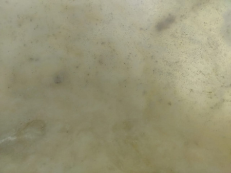 Накладная раковина из оникса Indo Bowl white Medium TinLip BO-00510 фото