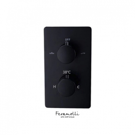 Смеситель термостатический скрытого монтажа Feramolli BL608T2W фото