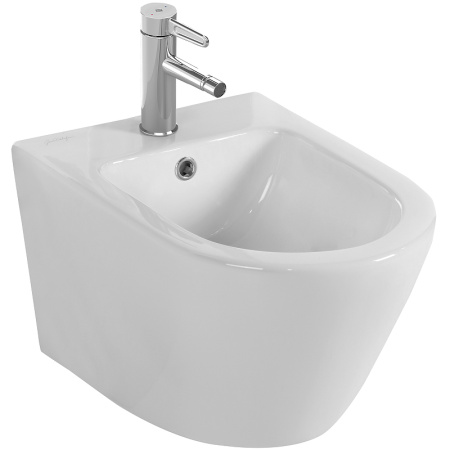 Биде подвесное Jacob Delafon Rodin+ EMJ0002-00 фото