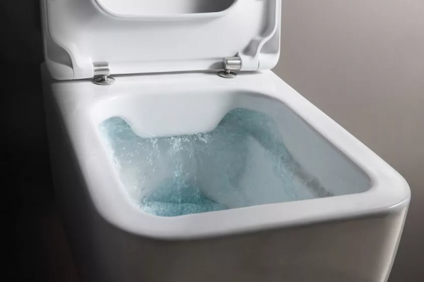 Унитаз подвесной Laufen Pro S 8.2096.2.000.000.1 безободковый фото
