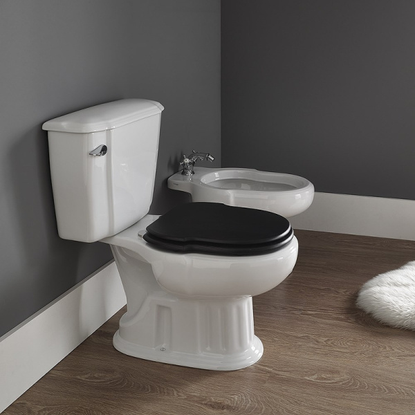Комплект унитаза компакт с гигиеническим душем Sanitana Grecia NC888661arona с бачком и сиденьем фото