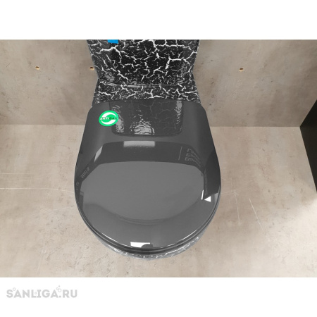 Унитаз-компакт напольный Rosa Рио 463288 черный кракелюр, с сиденьем фото