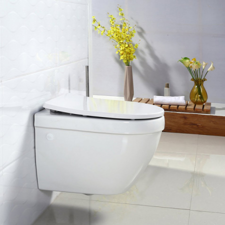 Унитаз подвесной BelBagno Cento-R BB509CH фото