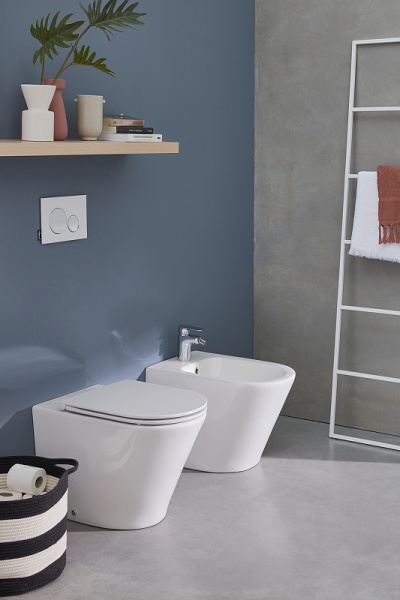 Унитаз приставной Jacob Delafon Rodin+ EDAA102-00 фото