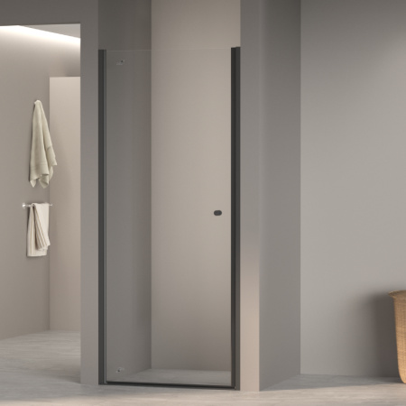Душевая дверь Dolphin TN-03B прозрачная 70 см фото