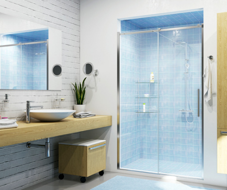 Душевая дверь WasserKRAFT Dinkel 58R05 120 см фото