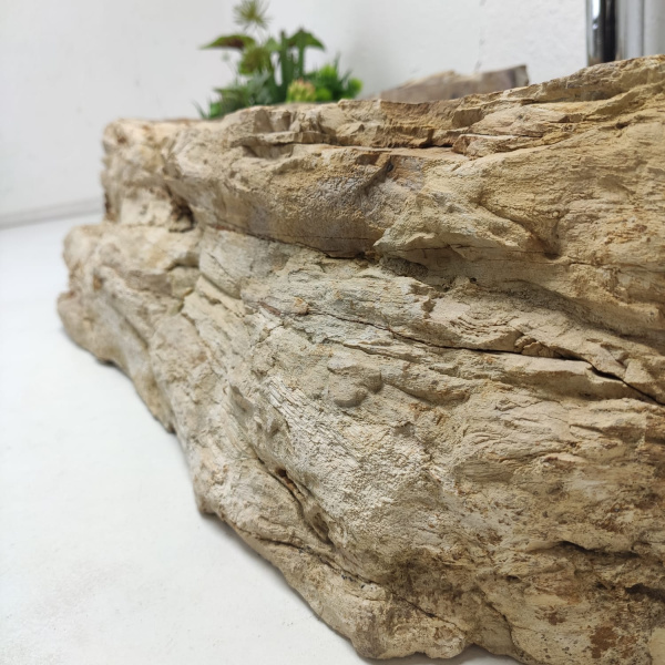 Накладная раковина из окаменелого дерева Fossil Basin OD-01333 (87*44*17) фото