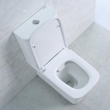 Унитаз компакт BelBagno Monica BB805CPR фото