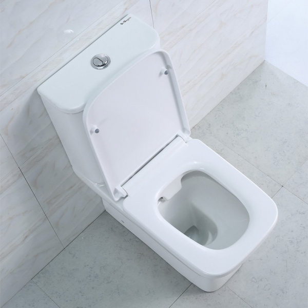 Унитаз компакт BelBagno Monica BB805CPR фото