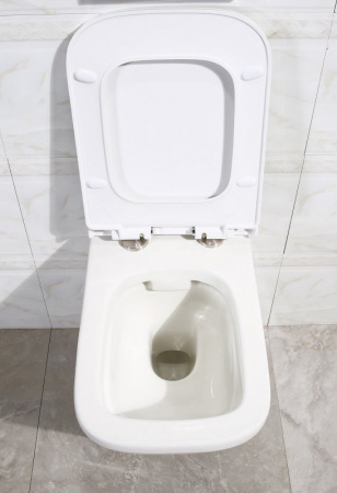 Унитаз подвесной BelBagno Dory BB522ACHR фото
