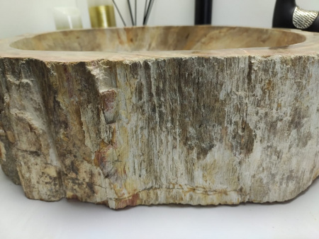 Раковина из окаменелого дерева Indo Fossil Basin OD-00402 фото
