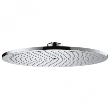 Верхний тропический душ тарелка Hansgrohe Raidance Royale 350 мм 28420000 фото